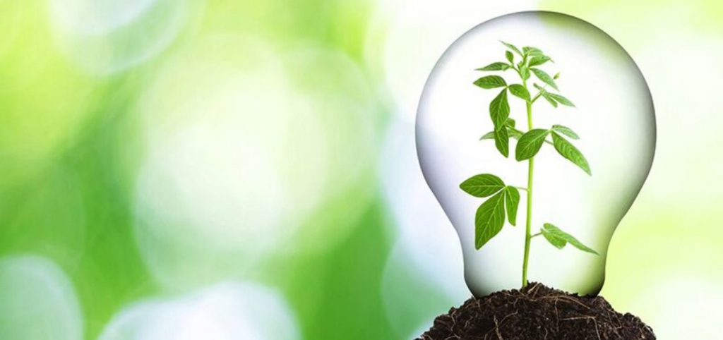 Self Storage Investors - Business