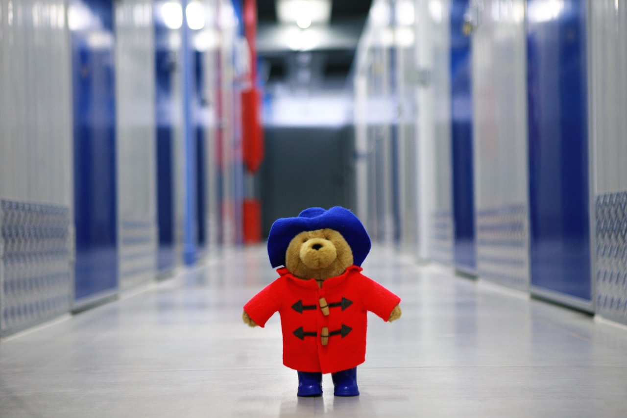 Teddy Bear In Storage Facility